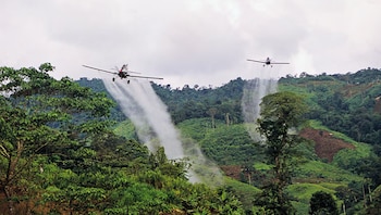 Fumigación aérea en Colombia