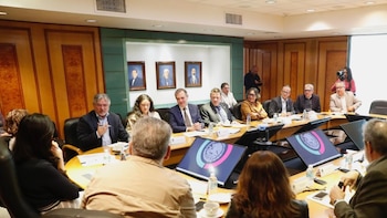 Reforma electoral: Cámara de Diputados