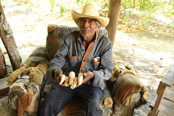 Sobrevivir a la sequía, las imágenes de agricultores que perdieron cultivos tras fuertes sequias en Guatemala