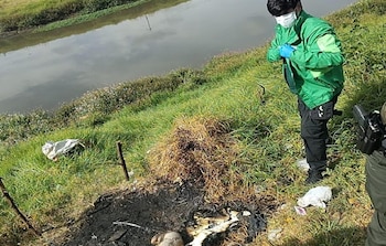 El levantamiento del cuerpo fue