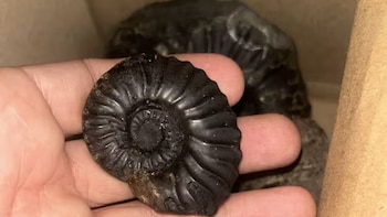 Santa María se posiciona como