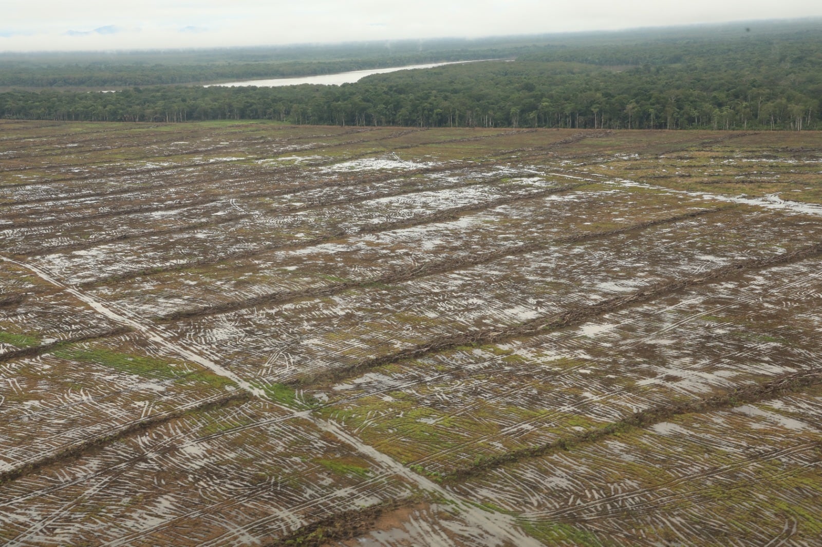 Las autoridades reconocen que uno de los principales retos es el fortalecimiento de los mecanismos de supervisión, control y seguimiento, así como la coordinación entre instituciones y gobiernos locales para garantizar el cumplimiento de las normas. Cortesía