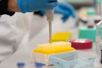 Inmunova investiga tratamientos para enfermedades