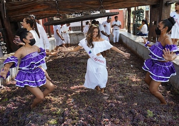 Festival de la Vendimia en