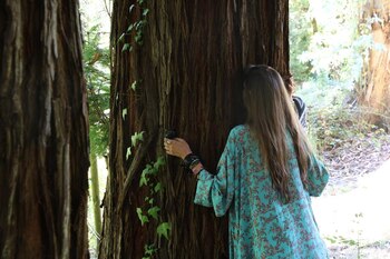 Sara Carbonero, en una publicación