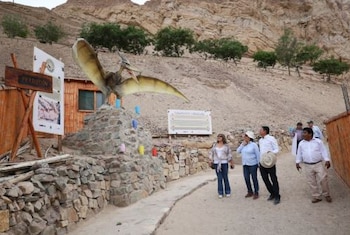 Parque jurásico en Arequipa ofrece una experiencia cerca a fósiles reales de dinosaurios en el territorio peruano. (Foto: Andina)