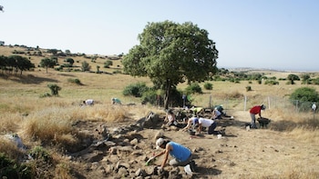 El Gobierno de Ayuso busca