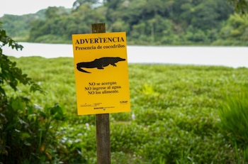 Las conductas preventivas protegen tanto a las personas como a las especies que habitan el área, señalan las autoridades. (MiAmbiente)