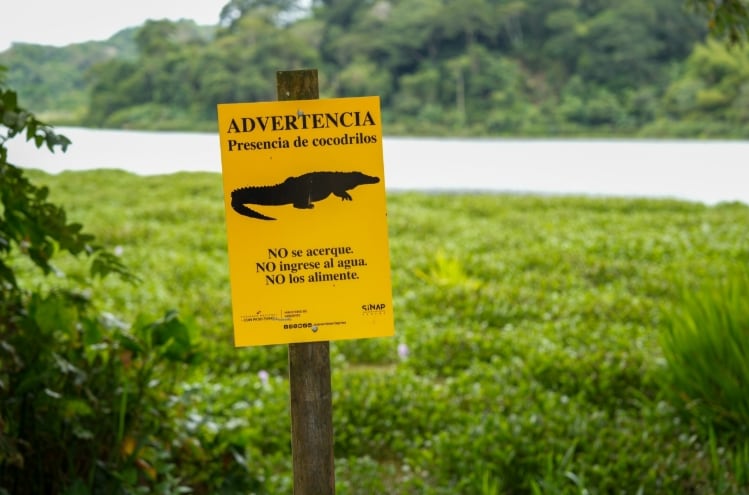 Las conductas preventivas protegen tanto a las personas como a las especies que habitan el área, señalan las autoridades. (MiAmbiente)