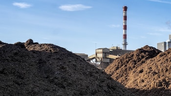 Magnon operará una planta de biomasa de Transa en Badajoz para evitar 7.400 toneladas de CO2 al año