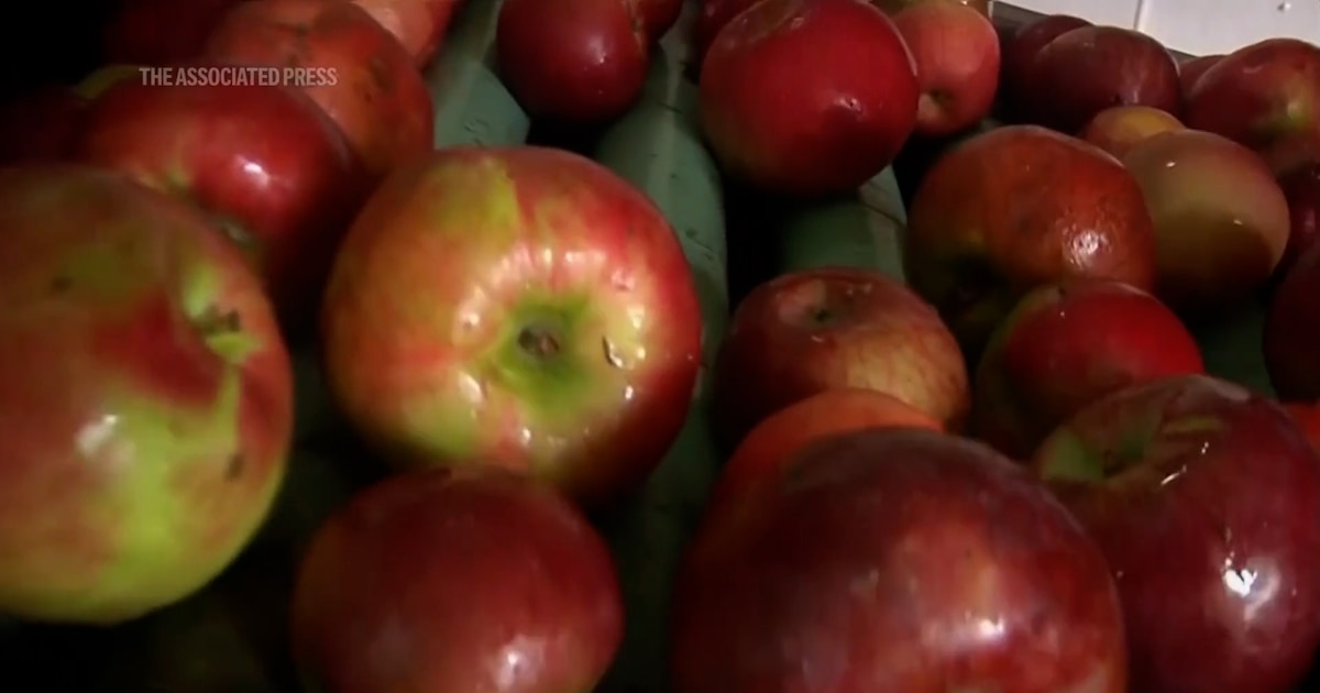 ¡Manzana Mágica! Descubre por qué una al día te mantiene sano y fuerte