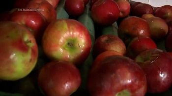 La fibra en la manzana