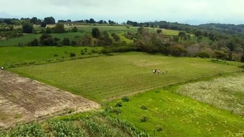 Vista aérea de campos de cultivo verdes, una parcela de tierra arada, personas de pie en el centro y colinas en el fondo