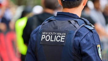 Agente de la New South