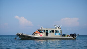 Proyecto de la Armada en Gorgona no afectaría la soberanía, según la Contraloría