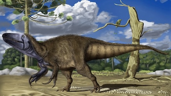 Descubrieron una especie de dinosaurio carnívoro en Neuquén: medía siete metros y vivió hace 86 millones de años