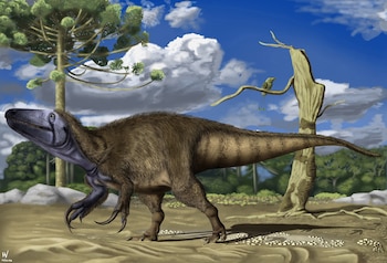 Rinconraptor pipoae