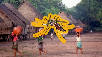 Minsa emite alerta epidemiológica por