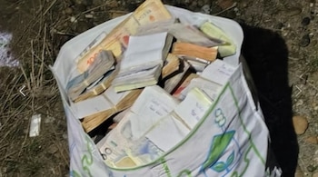 Una bolsa blanca llena de numerosos fajos de billetes de distintas denominaciones, con billetes de mil pesos visibles, reposa sobre tierra y hierba seca