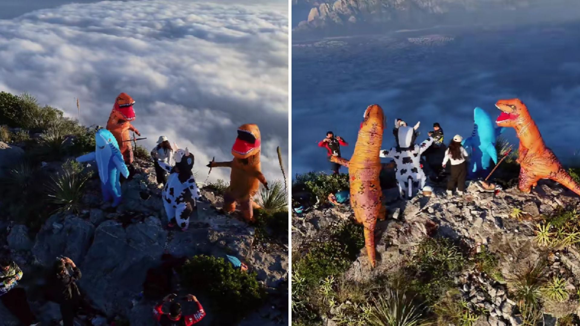 Dinosaurios, un tiranosaurio y una vaca aparecieron bailando en uno de los puntos más exigentes para los amantes del senderismo en Nuevo León.