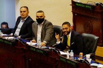 El diputado por el partido