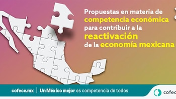 Estas son las 12 propuestas