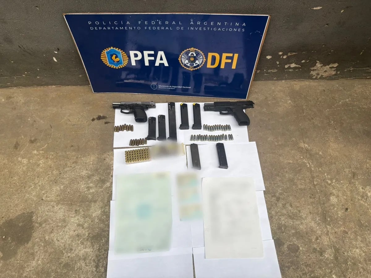 En los operativos también encontraron varias armas (Gentileza: El Diario Sur)