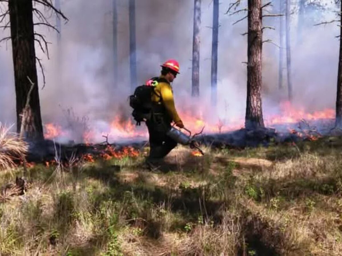 Incendio en el Parque Nacional Nahuel Huapi: más de 3500 hectáreas ya fueron alcanzadas por el fuego - Infobae