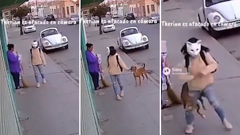 Joven ‘therian’ caracterizada de gato
