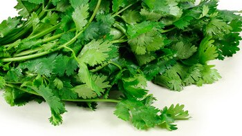 Esta hierba aromática es más saludable de lo que muchos pueden pensar