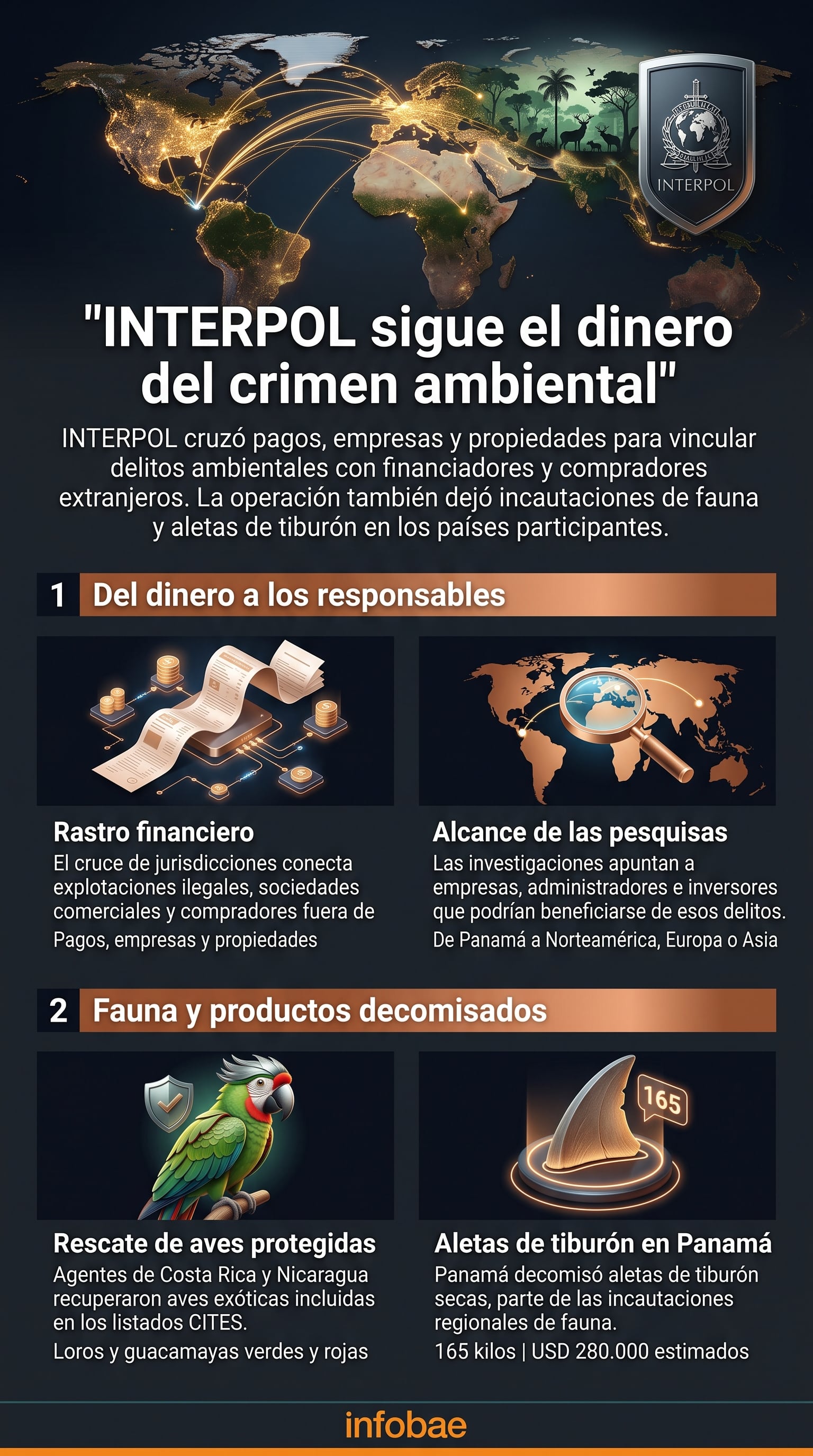 Una infografía expone el rastreo financiero de INTERPOL contra delitos ambientales en Centroamérica, junto con incautaciones de aves y aletas de tiburón. (Imagen Ilustrativa Infobae)