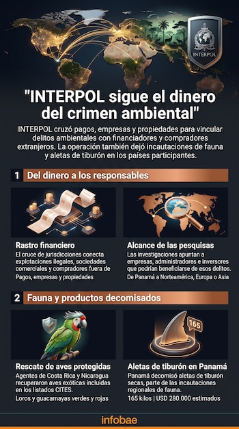Infografía con mapa mundial, escudo de INTERPOL y cuatro recuadros que ilustran finanzas, un mapa con lupa, un loro y una aleta de tiburón.