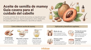 Infografía de Infobae ilustra la preparación y aplicación de aceite de semilla de mamey para el cabello, con gráficos de frutos, botellas y efectos capilares.