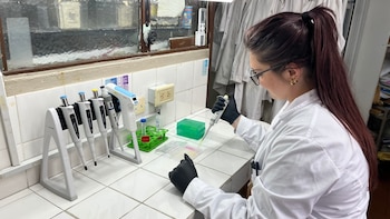 Radiografía del CONICET en tiempos de Milei: recorte de fondos, reducción de becarios y menos investigaciones