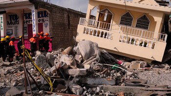 Los topos mexicanos utilizan escáner