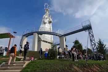 Se proyecta un flujo anual