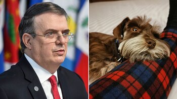 Ebrard compartió una foto de