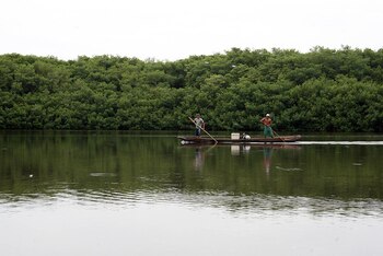 Parque Isla Salamanca. - Colprensa.