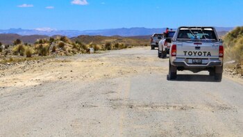 Las labores se enmarcan dentro