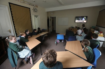 Un estudio denuncia que los