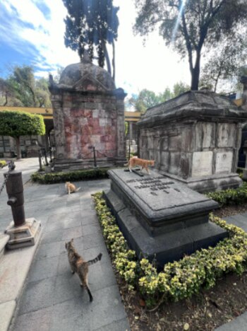 La labor de Catacumberitos se