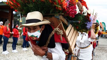 Cerca de 650 millones de