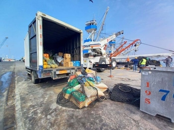 El registro incorporó, además, servicios para naves pesqueras y embarcaciones de carga variada. (AMP)