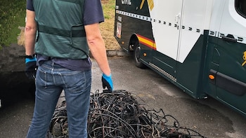 Desarticulada en Navarra una trama