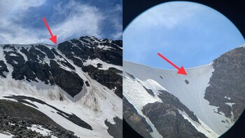 El milagro de Zola, la perra aussiedoodle que cayó casi 200 metros desde la cima de una montaña (Facebook Alpine Rescue Team)