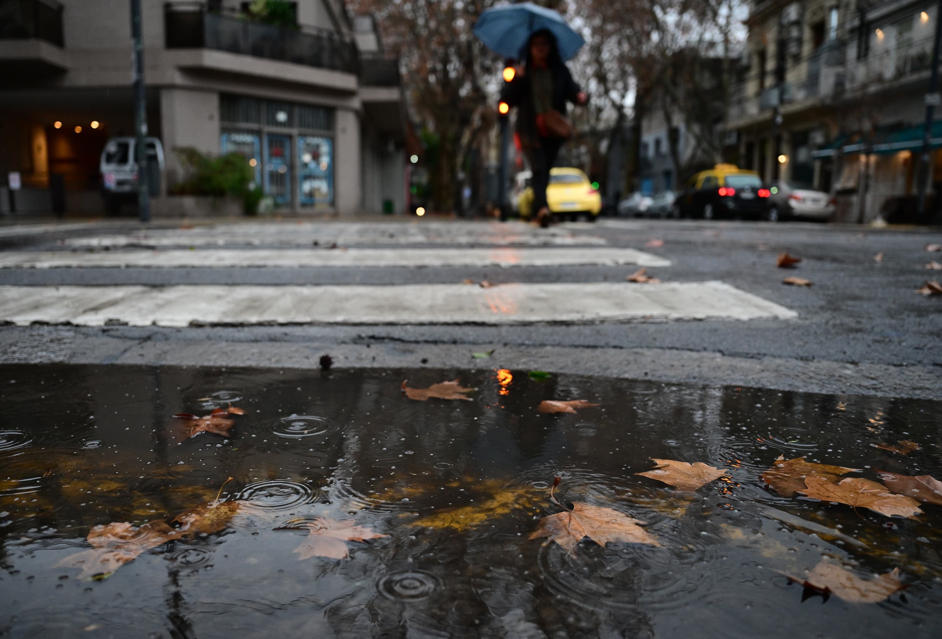 Hay alerta amarilla por tormentas para el fin de semana (Maximiliano Luna)