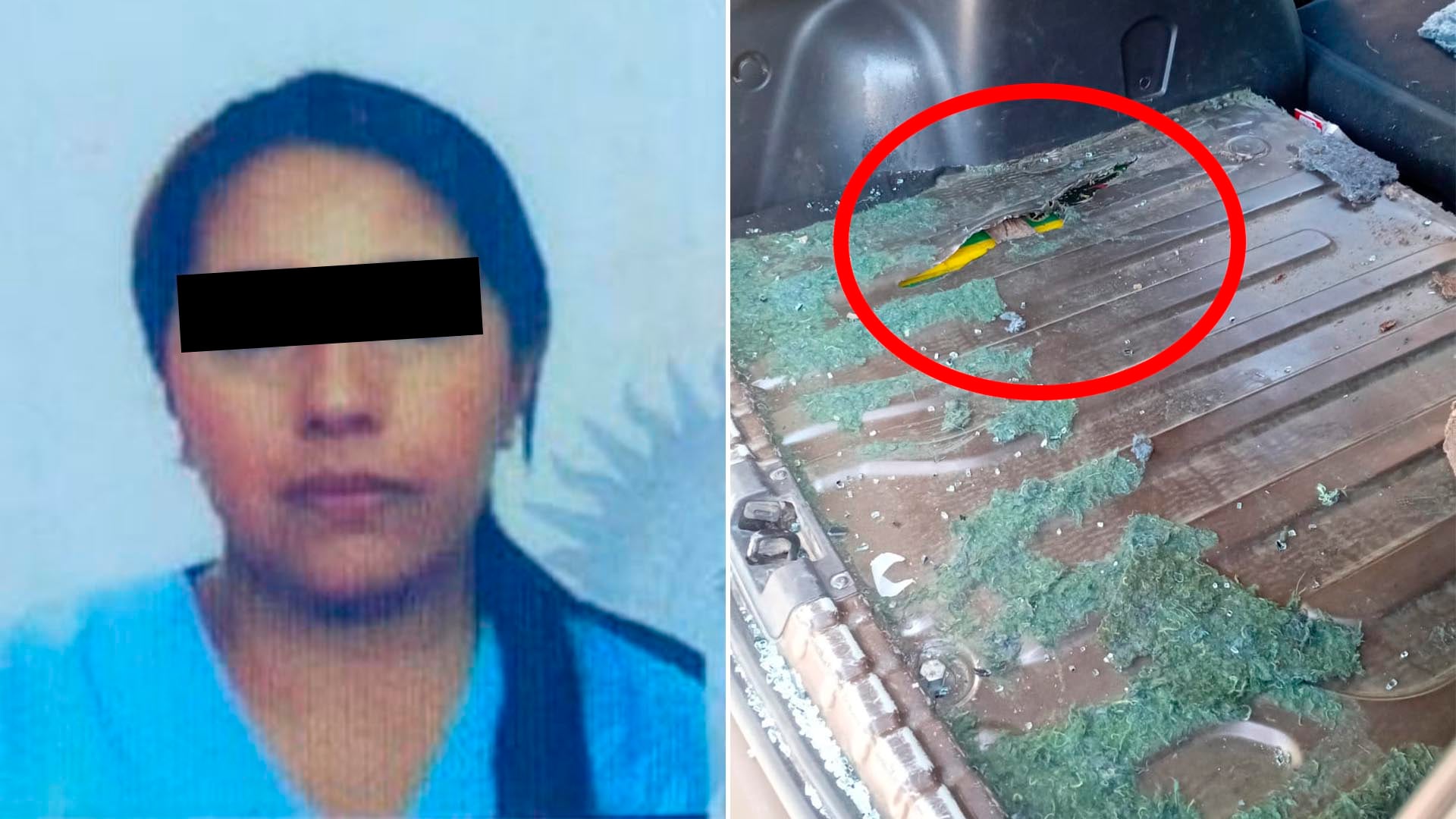 Una médica de Gendarmería, con su rostro censurado, y el compartimento de un vehículo con los 70 kilos de cocaína incautados durante su detención.
