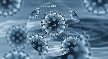 Ilustración científica de múltiples partículas de parvovirus B19 en tonos azules y grises, dentro de un círculo microscópico, con aguas residuales urbanas desenfocadas.