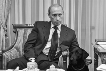 James Hill: 2015, Steven Lee