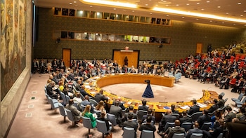 El Consejo de Seguridad de